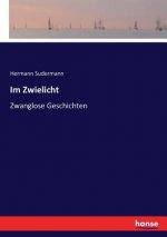 Im Zwielicht