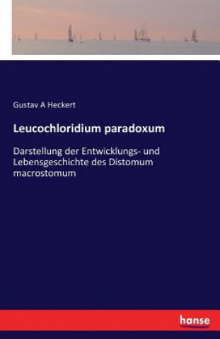 Leucochloridium paradoxum