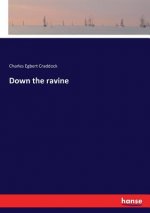 Down the ravine