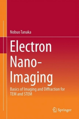 Electron Nano-Imaging