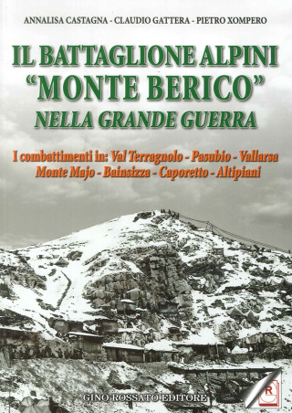 Il battaglione alpini «Monte Berico» nella grande guerra. I combattimenti in: val Terragnolo, Pasubio, Vallarsa, monte Majo, Bainsizza, Caporetto, alt