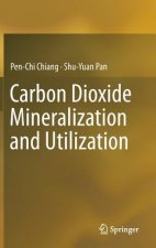 Carbon Dioxide Mineralization and Utilization