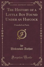 The History of a Little Boy Found Under an Haycock