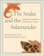 Snake and the Salamander