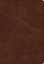 ESV Giant Print Bible
