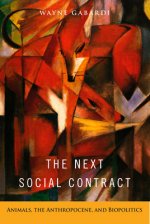 Next Social Contract