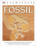 DK Eyewitness Books: Fossil (Library Edition)
