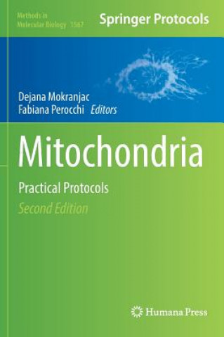Mitochondria