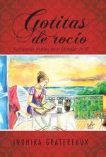 Gotitas de rocio