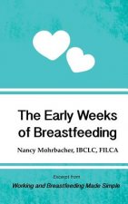 Early Weeks of Breastfeeding: Excerpt from Working and Breastfeeding Made Simple: Volume 2