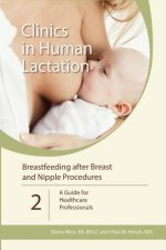 Clinics in Human Lactation: v. 2 - Breastfeeding After Breast and Nipple Procedures