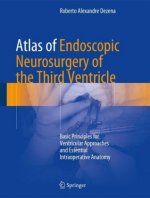 Atlas of Endoscopic Neurosurgery of the Third Ventricle