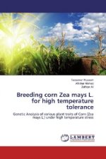 Breeding corn Zea mays L. for high temperature tolerance