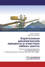 Ajerogazovye dinamicheskie processy v ochistnyh zaboyah shahty