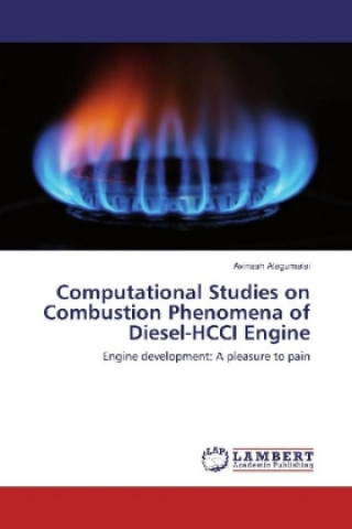 Computational Studies on Combustion Phenomena of Diesel-HCCI Engine