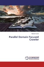 Parallel Domain Focused Crawler