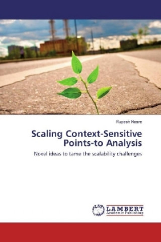 Scaling Context-Sensitive Points-to Analysis