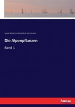 Alpenpflanzen