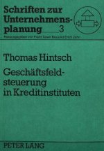 Geschaeftsfeldsteuerung in Kreditinstituten