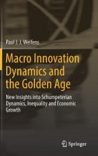 Macro Innovation Dynamics and the Golden Age