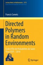Directed Polymers in Random Environments
