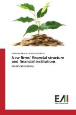 New firms' financial structure and financial institutions