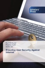 Ensuring User Security Against Internet