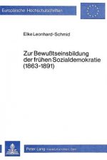 Zur Bewusstseinsbildung der fruehen Sozialdemokratie (1863-1891)