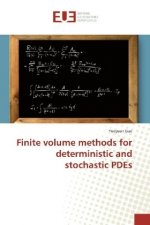 Finite volume methods for deterministic and stochastic PDEs