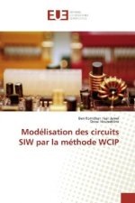 Modélisation des circuits SIW par la méthode WCIP
