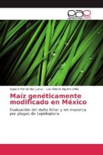 Maíz genéticamente modificado en México