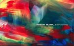 Herbert Brandl: Summersnow