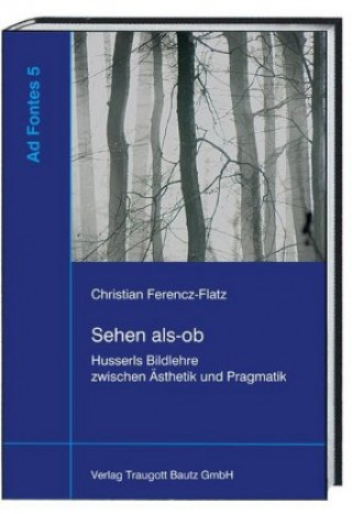 Sehen als-ob