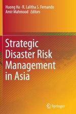 Strategic Disaster Risk Management in Asia