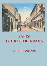 Zapisi iz ukletog grada