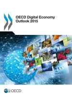 OECD digital economy outlook 2015