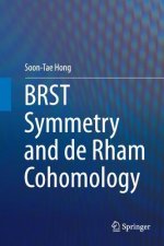 BRST Symmetry and de Rham Cohomology