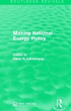 Making National Energy Policy
