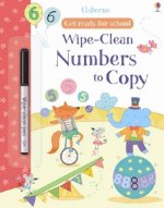 Wipe-clean Numbers to Copy