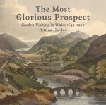 Most Glorious Prospect