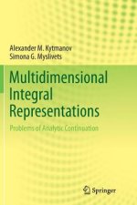 Multidimensional Integral Representations