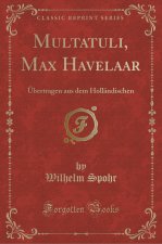 Multatuli, Max Havelaar