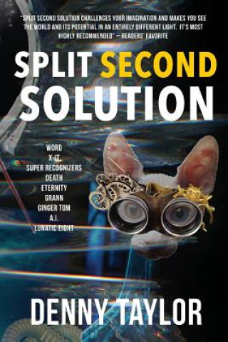 Split Second Solution