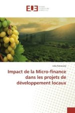 Impact de la Micro-finance dans les projets de développement locaux