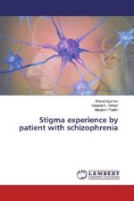 Stigma experience by patient with schizophrenia