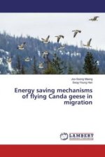 Energy saving mechanisms of flying Canda geese in migration