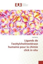 Ligands de l'acétylcholinestérase humaine pour la chimie click in situ