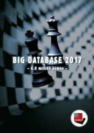 Big Database 2017