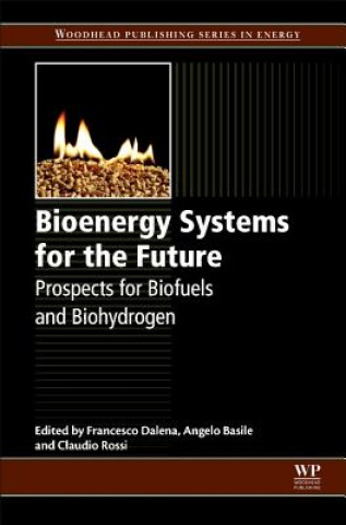 Bioenergy Systems for the Future