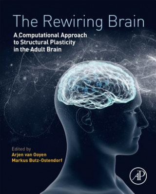 Rewiring Brain